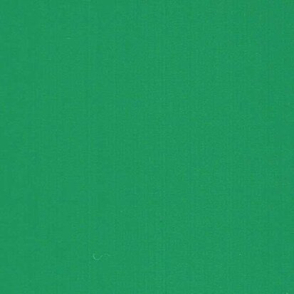 Cactus Green - Vinyl Mat AVERY DENNISON 61,5cm x 10m