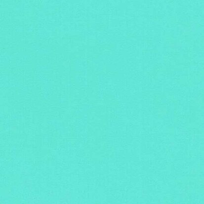 Mint - Vinyl Glanzend AVERY DENNISON