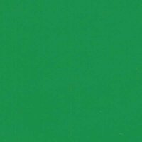 Groen - Vinyl Glanzend 30,7cm x 2,5m Silhouette