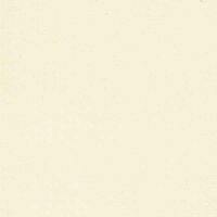 Beige - Vinyl Glanzend 30,7cm x 2,5m Silhouette