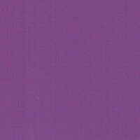 Paars - Vinyl Glanzend 30,7cm x 2,5m Silhouette Paars - Vinyl Glanzend 30,7cm x 2,5m Silhouette