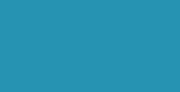 Turquoise - SEF Velcut EVO Flock 500μ 25cm