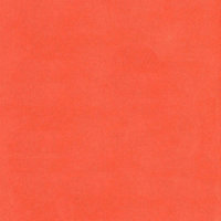 Zalm - Zelfklevend Karton SILHOUETTE