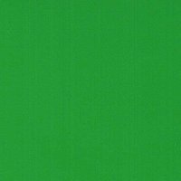 Grass Green - Vinyl Mat AVERY DENNISON