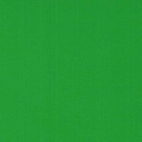 Grass Green - Vinyl Glanzend AVERY DENNISON