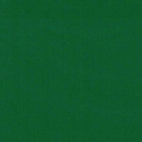 Forest Green - Vinyl Glanzend AVERY DENNISON