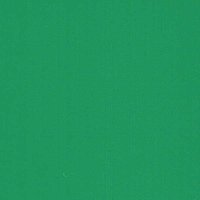 Cactus Green - Vinyl Glanzend AVERY DENNISON