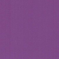Violet - Vinyl Glanzend AVERY DENNISON
