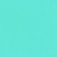 Mint - Vinyl Glanzend AVERY DENNISON