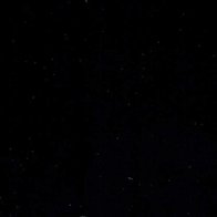 Black - Vinyl Mat AVERY DENNISON