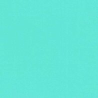 Mint - Vinyl Mat AVERY DENNISON