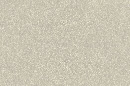 6021 30cm White Gold NOVA-FLEX PET GLITTER