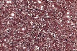 6060 50cm Rose Gold NOVA-FLEX PET GLITTER