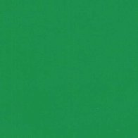 Kelly Green - Vinyl Mat AVERY DENNISON