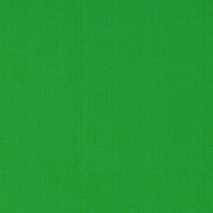 Grass Green - Vinyl Mat AVERY DENNISON