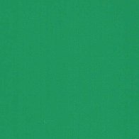 Cactus Green - Vinyl Mat AVERY DENNISON