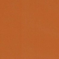 Nut Brown - Vinyl Glanzend AVERY DENNISON