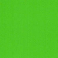 Light Green - Vinyl Glanzend AVERY DENNISON