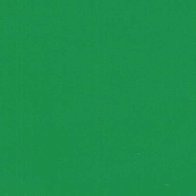 Kelly Green - Vinyl Glanzend AVERY DENNISON