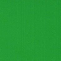 Grass Green - Vinyl Glanzend AVERY DENNISON