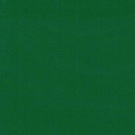 Forest Green - Vinyl Glanzend AVERY DENNISON