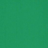 Cactus Green - Vinyl Glanzend AVERY DENNISON