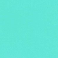 Mint - Vinyl Glanzend AVERY DENNISON